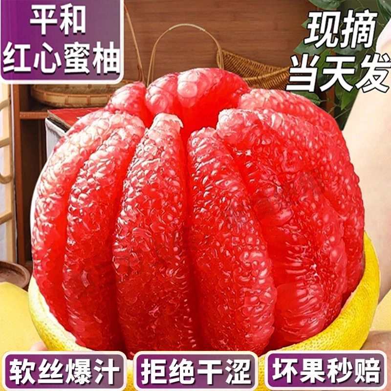 福建平和红心柚子新鲜水果包邮当季鲜果红肉蜜柚琯溪红柚爆汁现摘