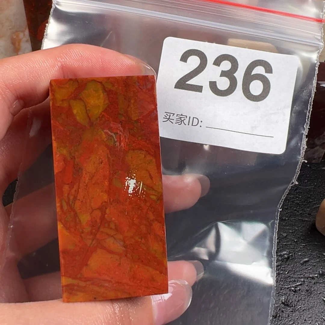 老挝石印石鱼**道老挝石