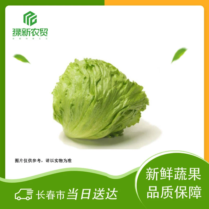 Z 西生菜 500g±50g/份