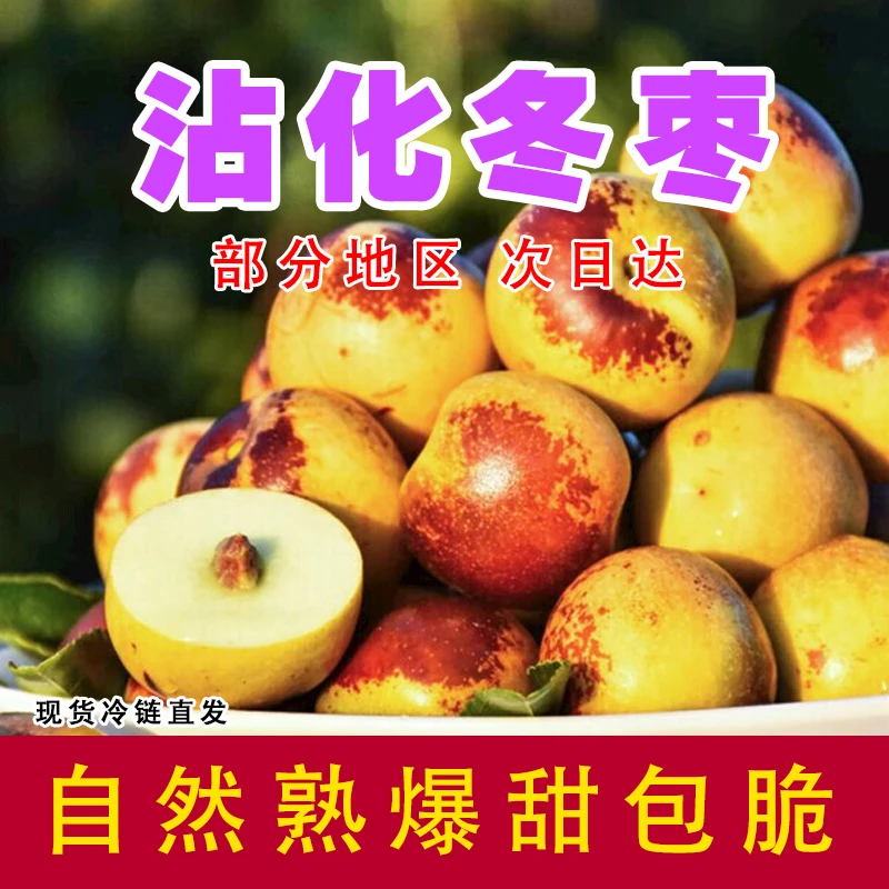 山东沾化冬枣原产地直发