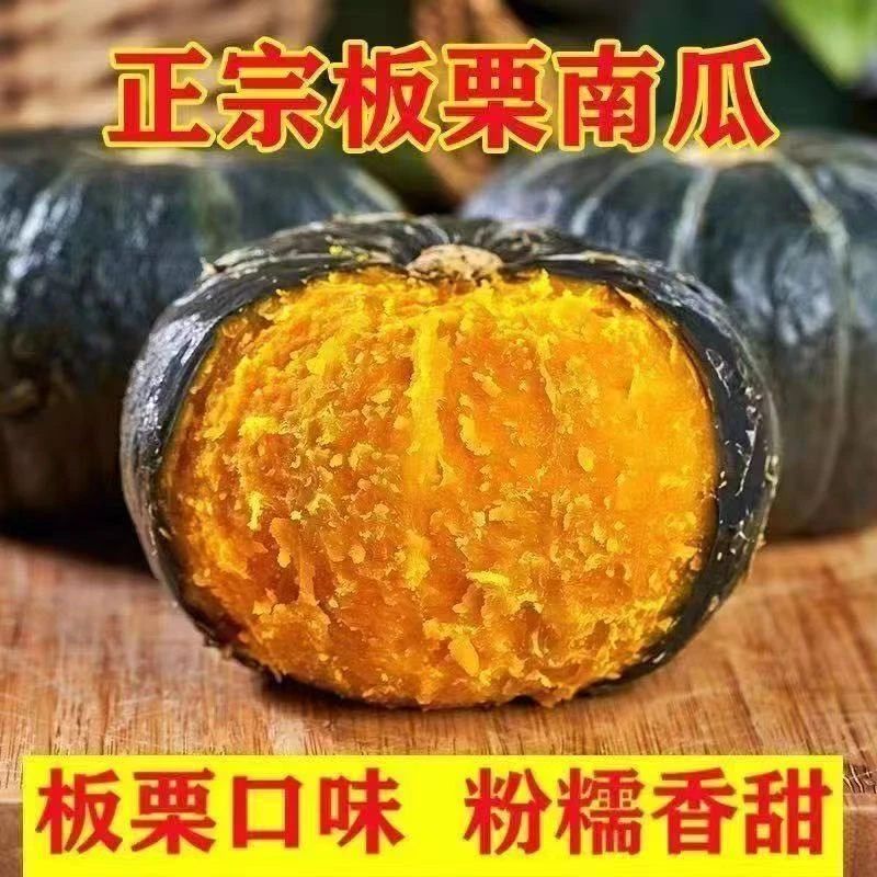 正宗贝贝南瓜板栗味老南瓜宝宝辅食新鲜斤装贝贝南瓜