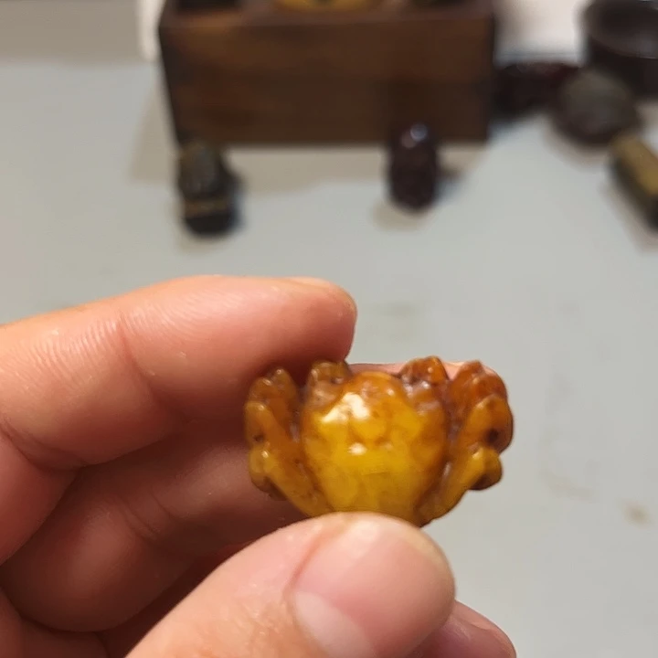 大果紫檀（缅甸花梨）