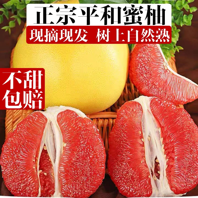 【开园福利】正宗福建平和红心蜜柚琯溪红肉柚子新鲜孕妇水果5/10斤
