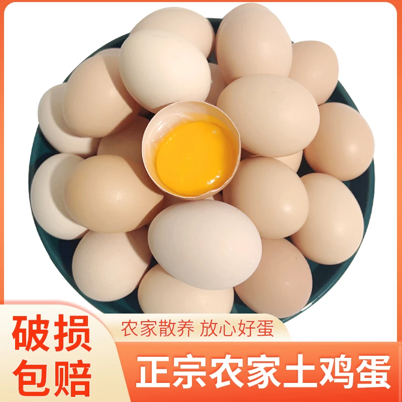 农家散养土鸡蛋50枚现捡鸡蛋鲜鸡蛋单枚40g-45g
