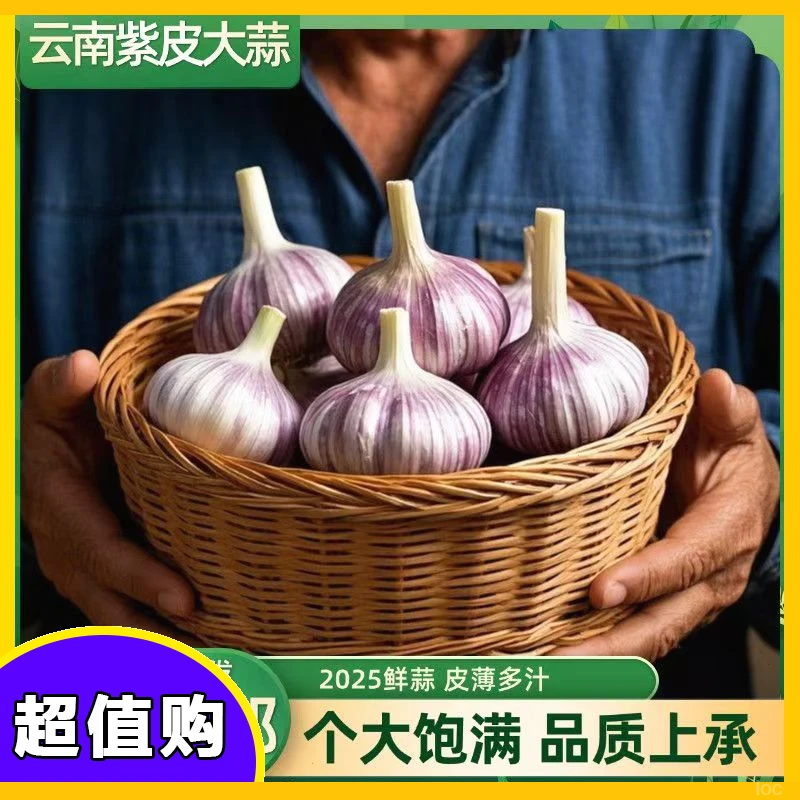 干产地直发2025干云南蒜新鲜蒜蒜新紫皮大蒜蒜紫农家自种多瓣红皮