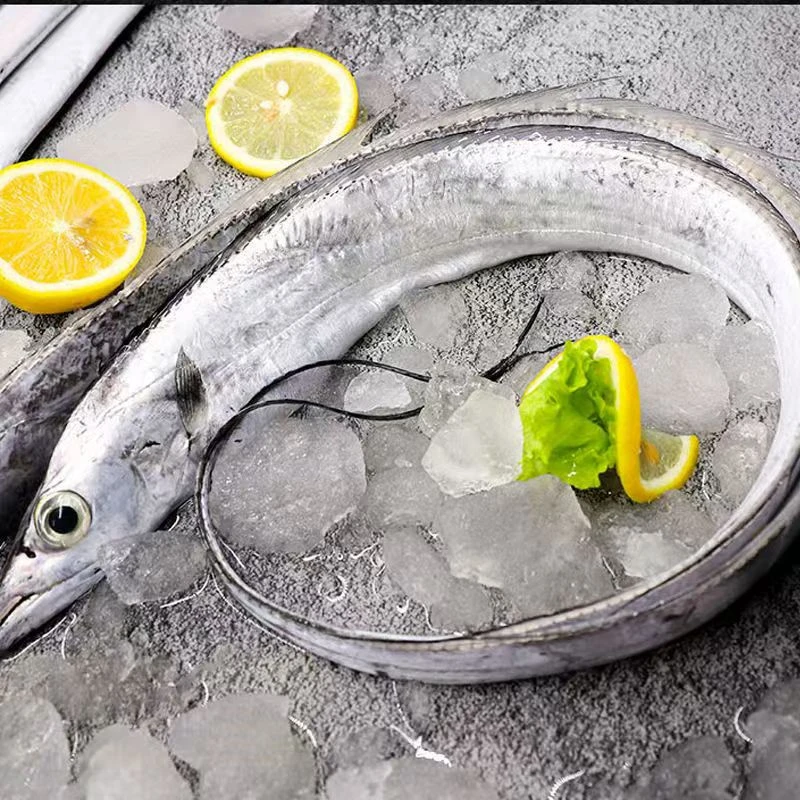 【顺丰包邮】东海正宗整条带鱼鲜活速冻无冰野生刀鱼每条4两左右