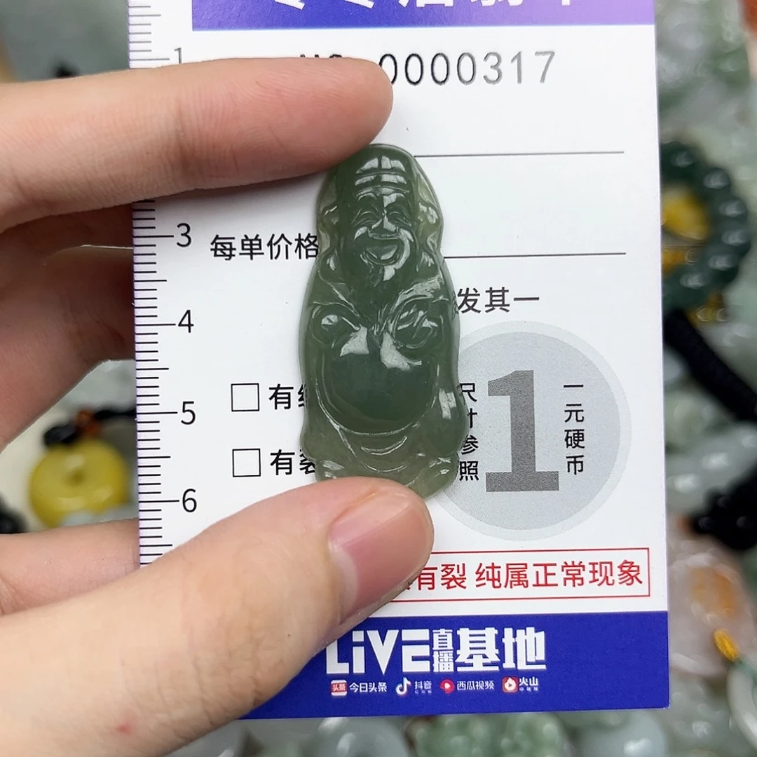 翡翠未镶嵌颈饰317