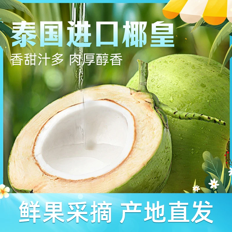 泰国源头新鲜老树牛奶椰皇6/10颗【单果330-880g】孕妈水果