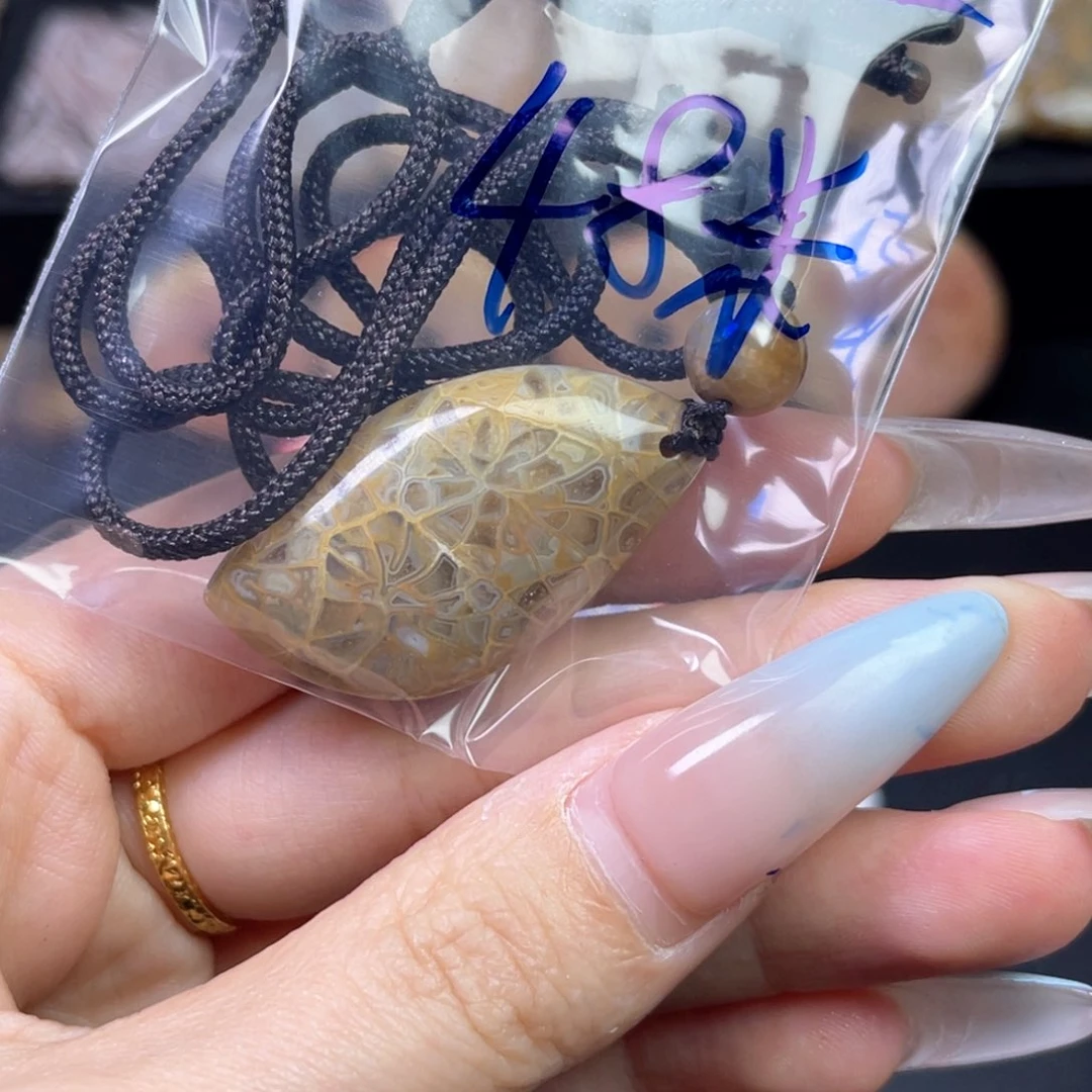 硅化珊瑚（珊瑚玉）吊坠未镶嵌