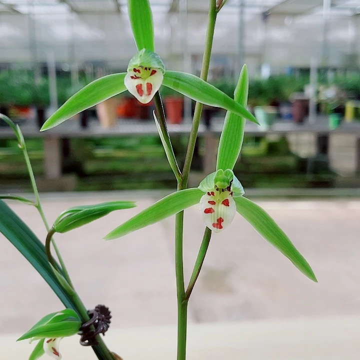 完全开放1555555555555