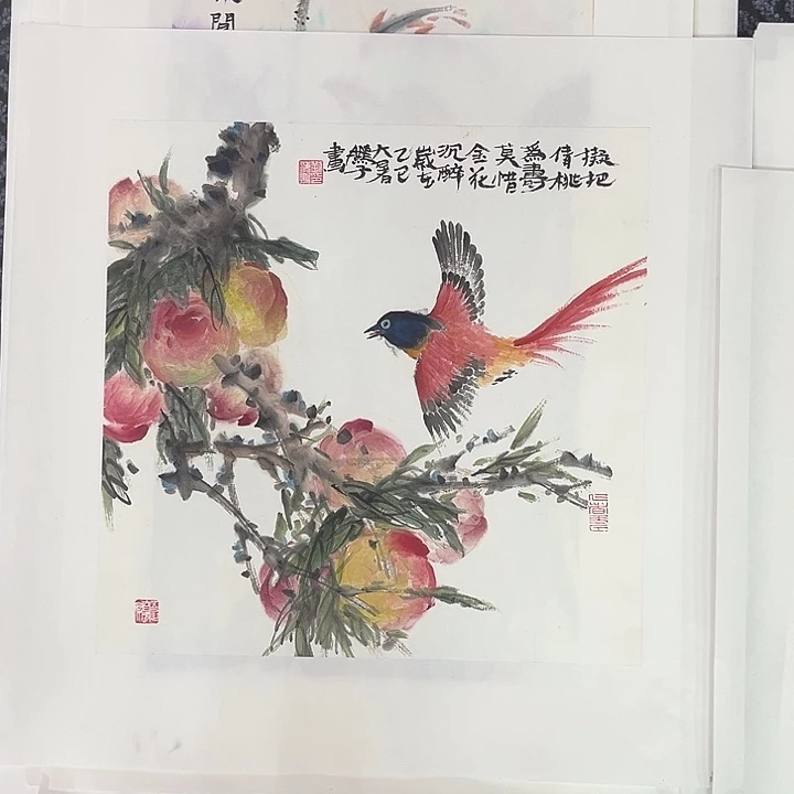 国画43.43斗方花鸟m