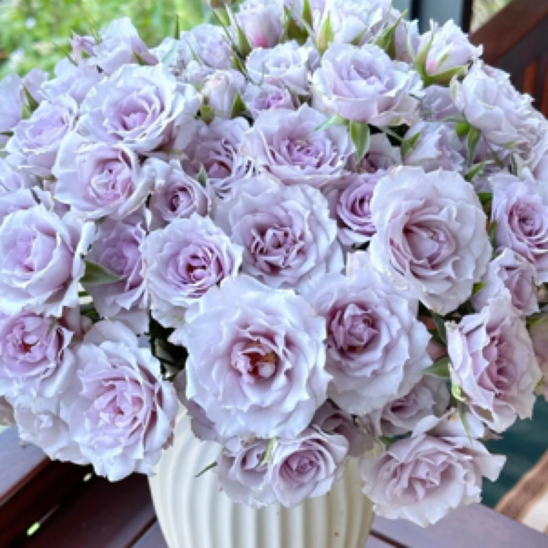 紫雾公主-多头玫瑰20%损耗不售后