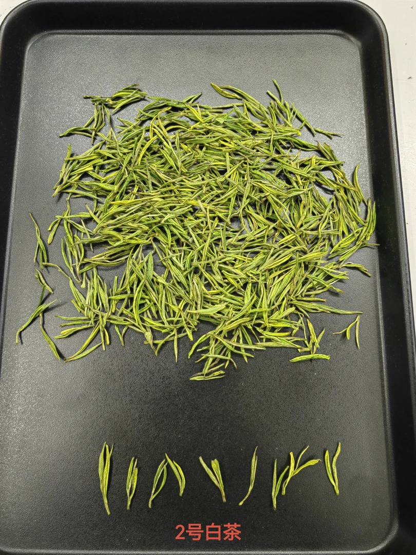2号白茶，2025年明前新茶
