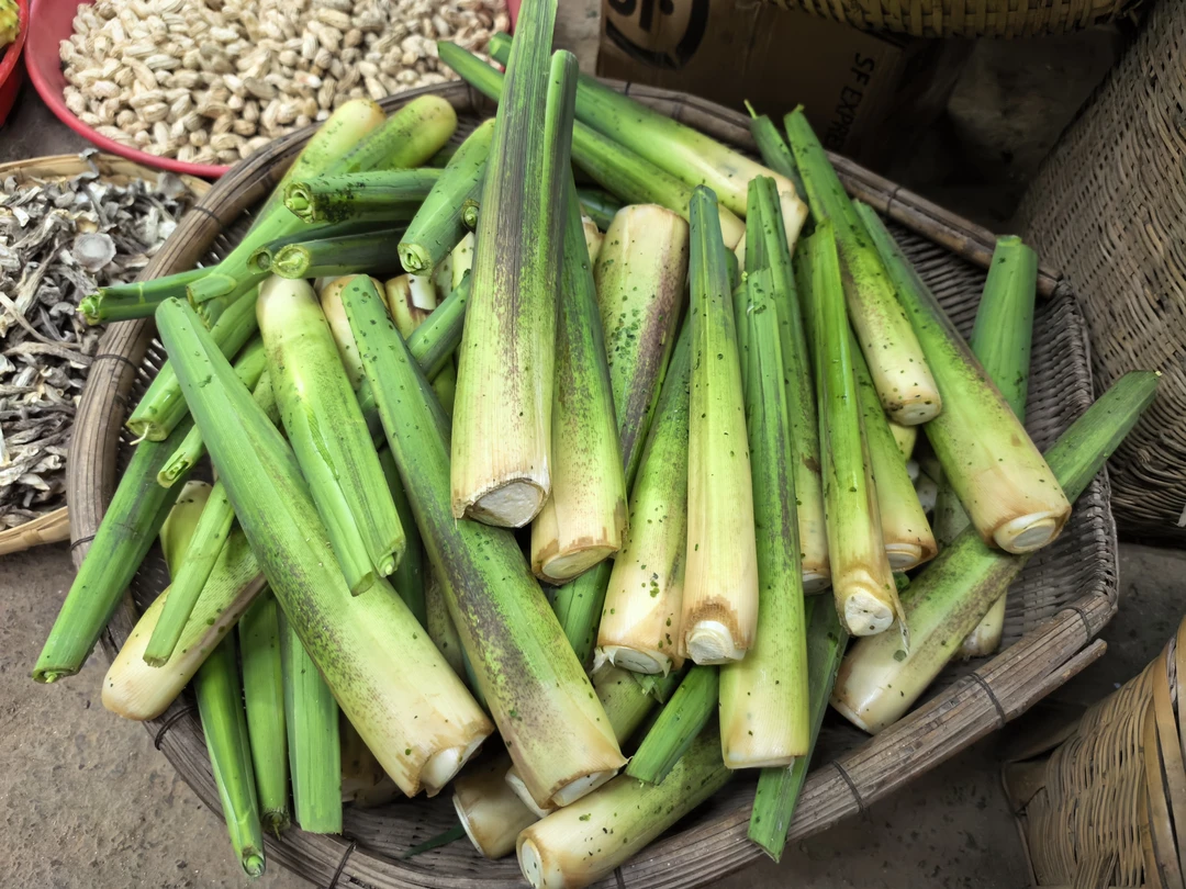 云南高山农家自种水果茭白蔬菜高笋优质低卡