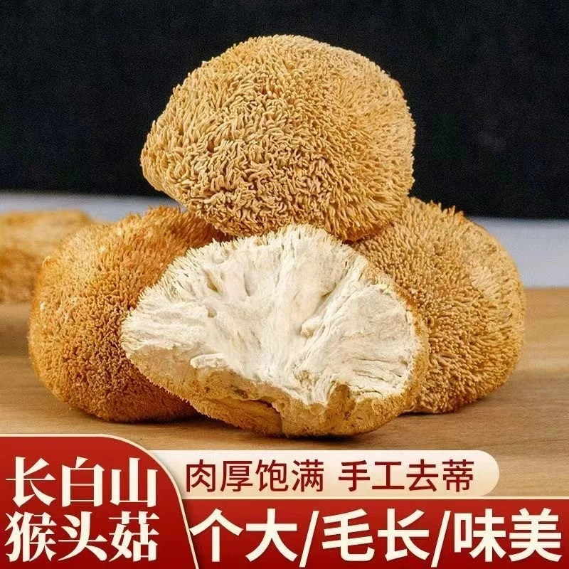 长白山猴头菇个大干货8-12公分每只约40-50克可熬粥煲汤