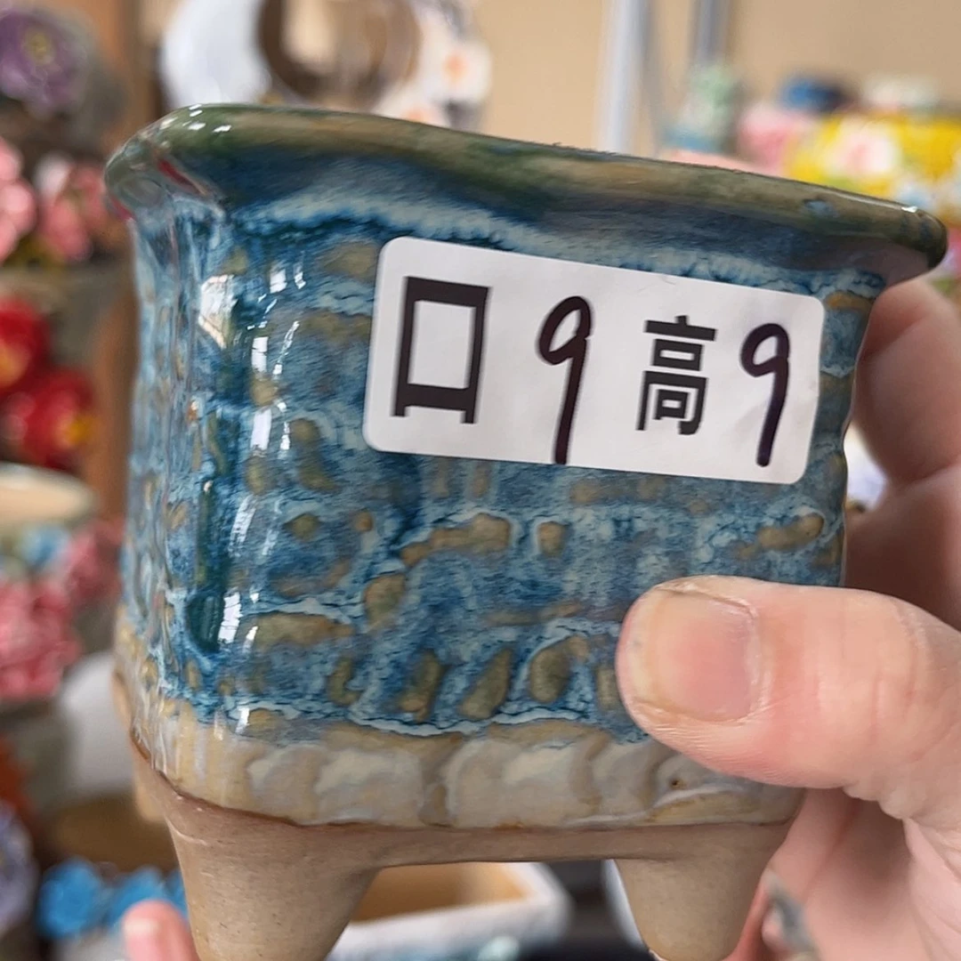 【闪购商品】红陶福利