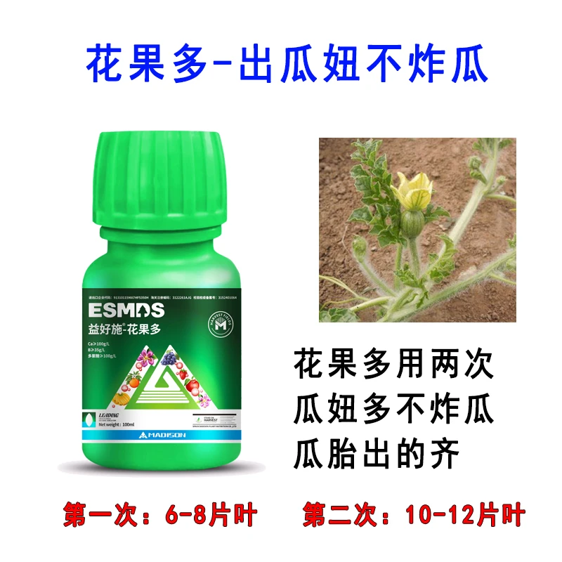 花果多出瓜妞稳瓜胎促坐瓜不炸瓜