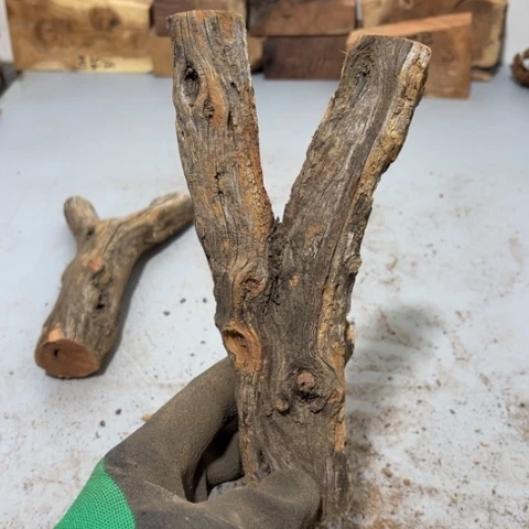 大果紫檀（缅甸花梨）⭐️*