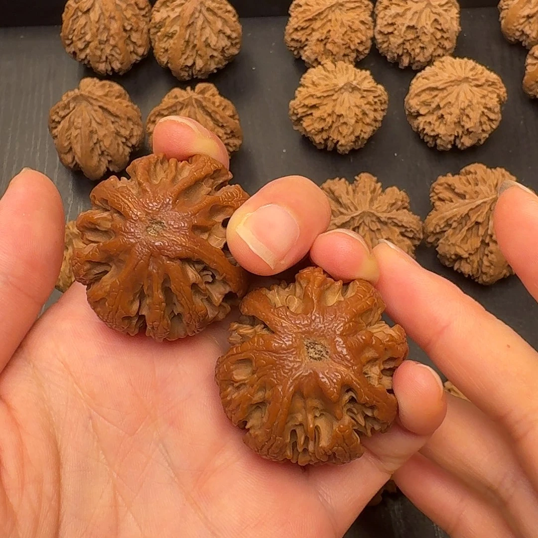 太***店核桃突突突突突突