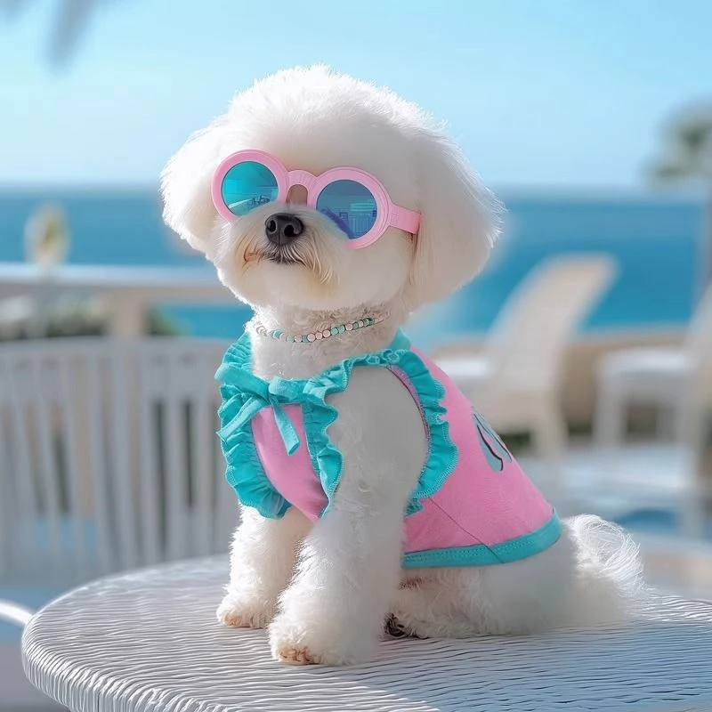 夏季狗狗衣服印花飞飞袖吊带背心比熊小型犬可爱服饰猫咪透气薄款