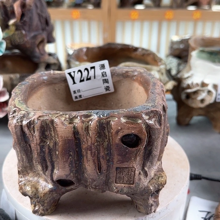 紫砂花盆景德镇陶瓷多肉227