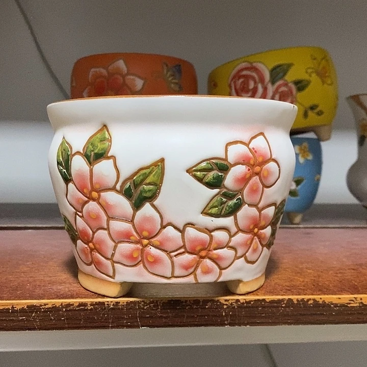 韩式多肉植物花盆