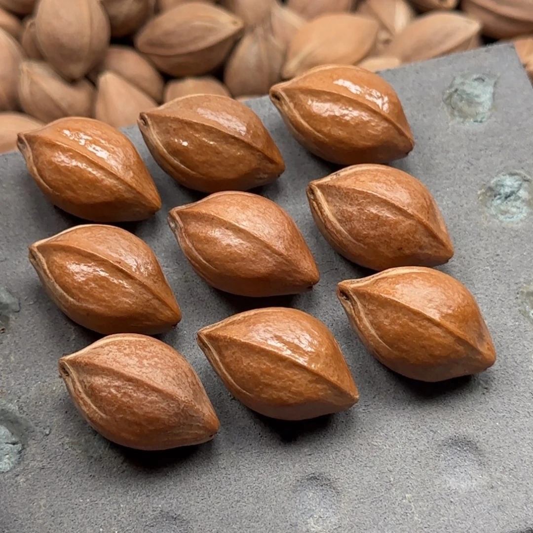 ****手串橄榄核2.0✖️3.2➕三通，编好发货