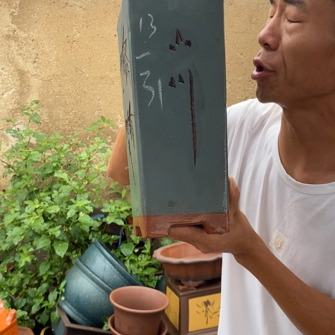 紫砂花盆紫砂壶的时候我就觉得