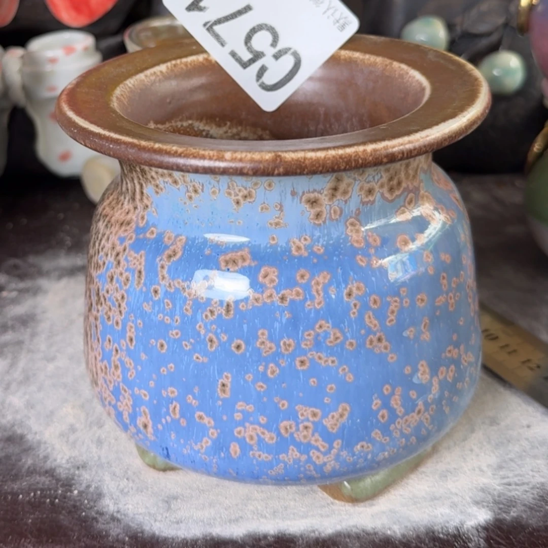 重庆小燕子欢迎那家571