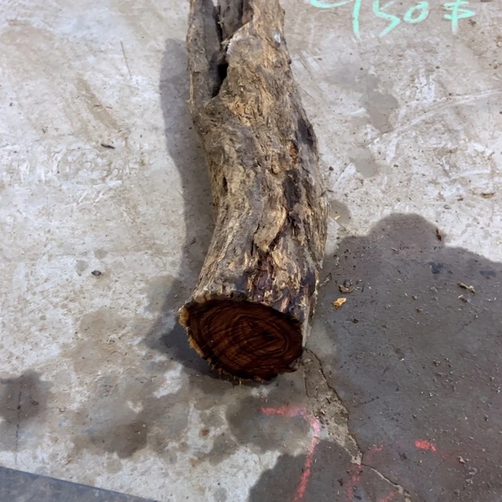 凹***质沙漠铁木原木不退换