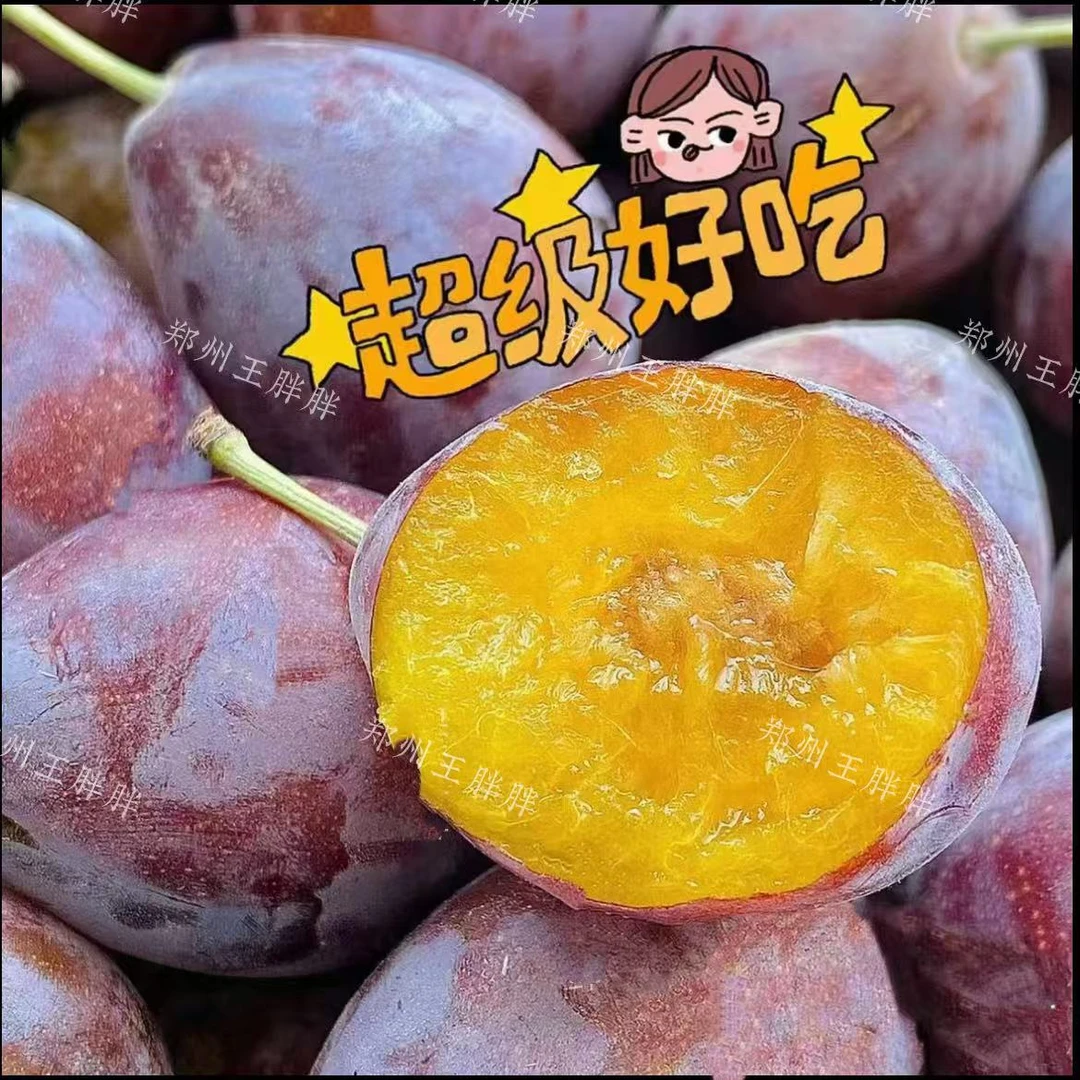 莜禾农业  西梅公主 伽师西梅 分装  净重2斤/4斤 每一颗都很甜