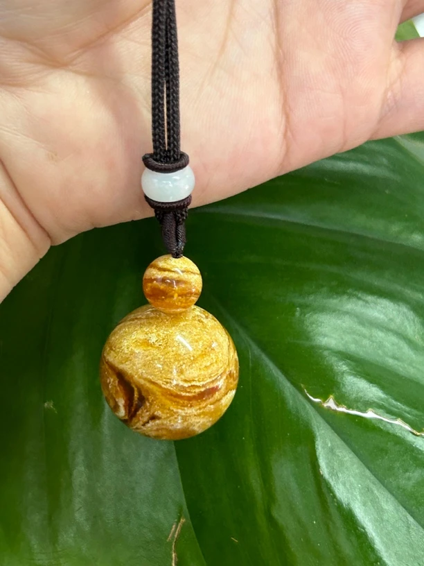 29单珠锁骨多样性发其一