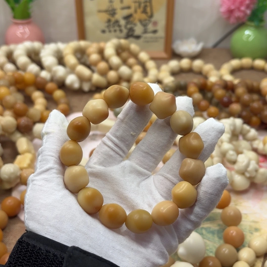 菩提根/象牙果吊坠17干磨瑕疵落地果星星953