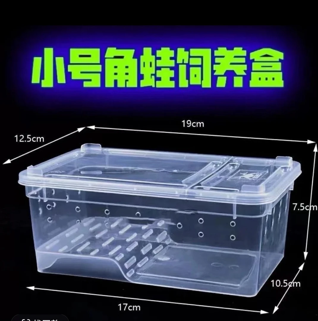 爬虫饲养盒适用于蜘蛛角蛙蜗牛仓鼠守宫乌龟寄居蟹等爬宠