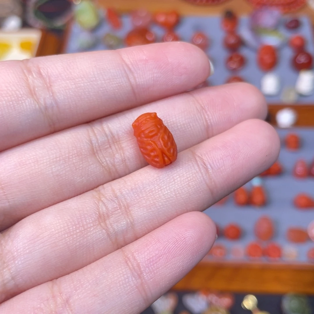 南红玛瑙未镶嵌金蝉一鸣惊人