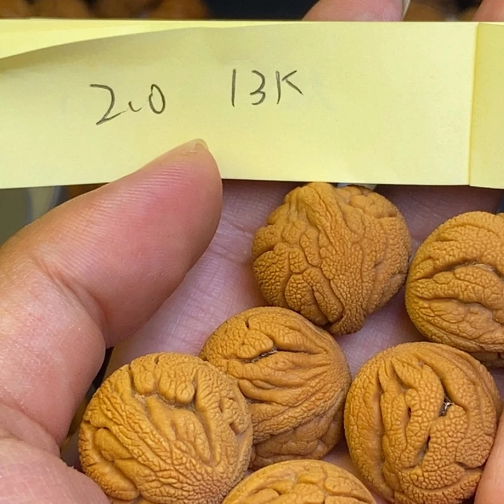 桃核吊坠秦岭龙纹桃核22
