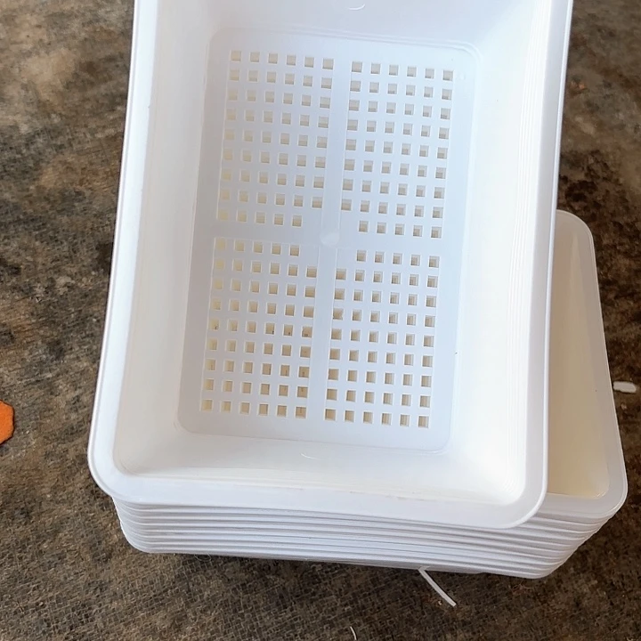 17公分白色育苗盘6个