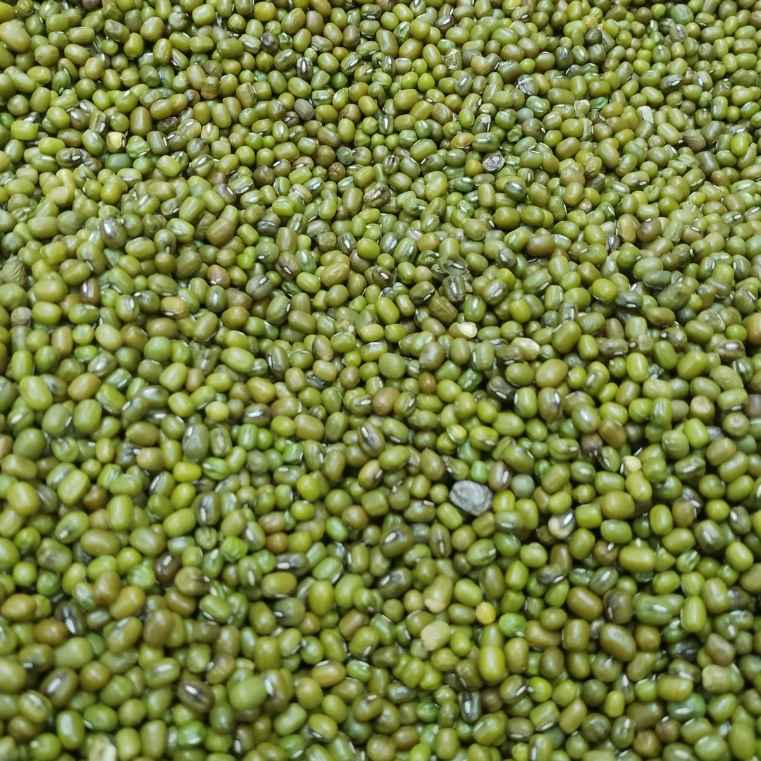 散称内蒙天山绿豆500g ±10g营养丰富口感好