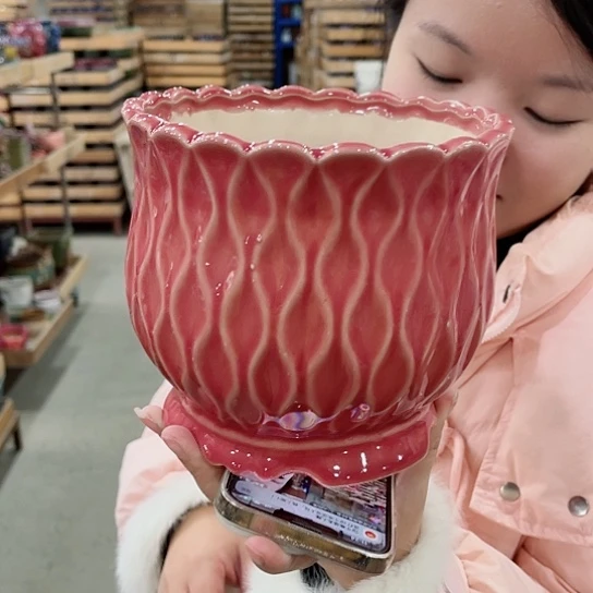 红陶直播间已有一年里