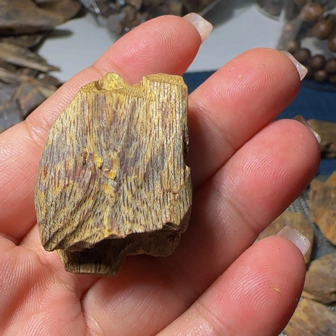 树脂制品秋*帝树脂制品，原母树7