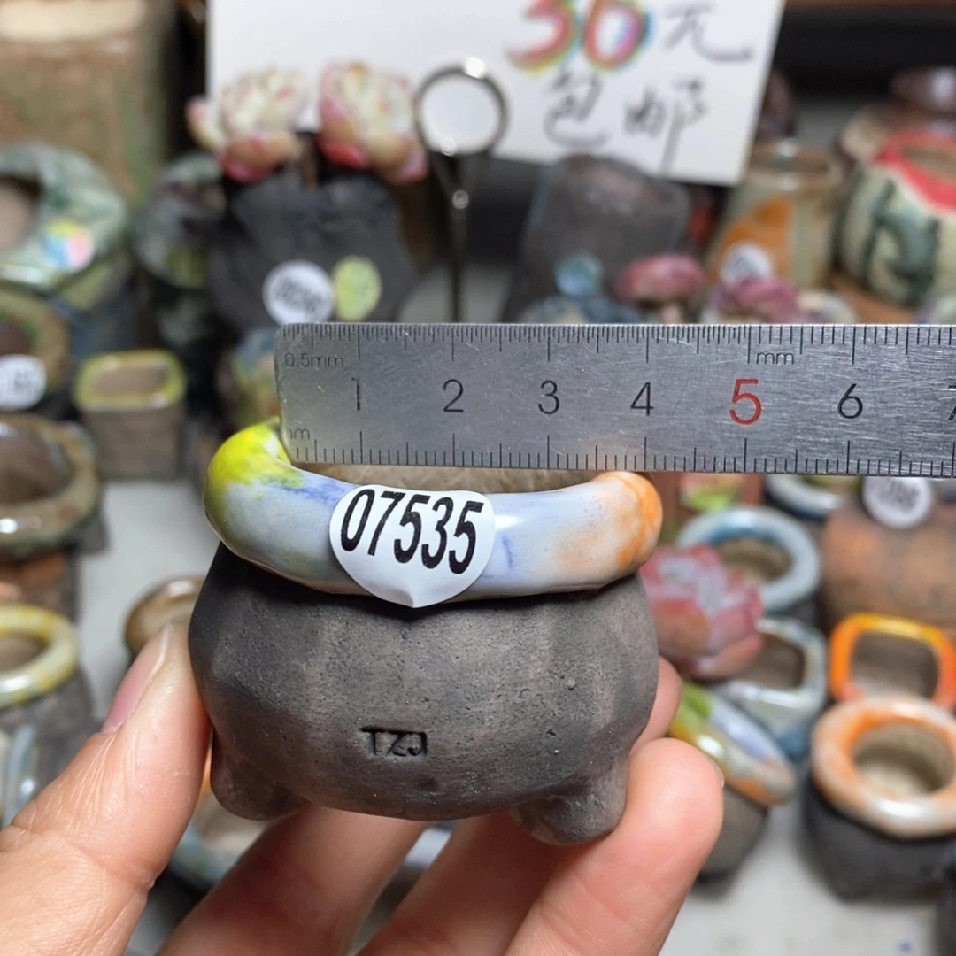 花盆拍3送一个小礼物