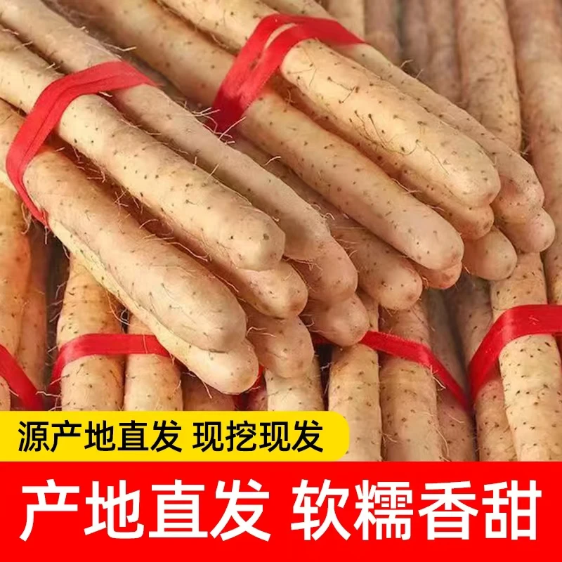 铁棍山药新鲜带土发货粉糯甘面5斤大果40-50cm