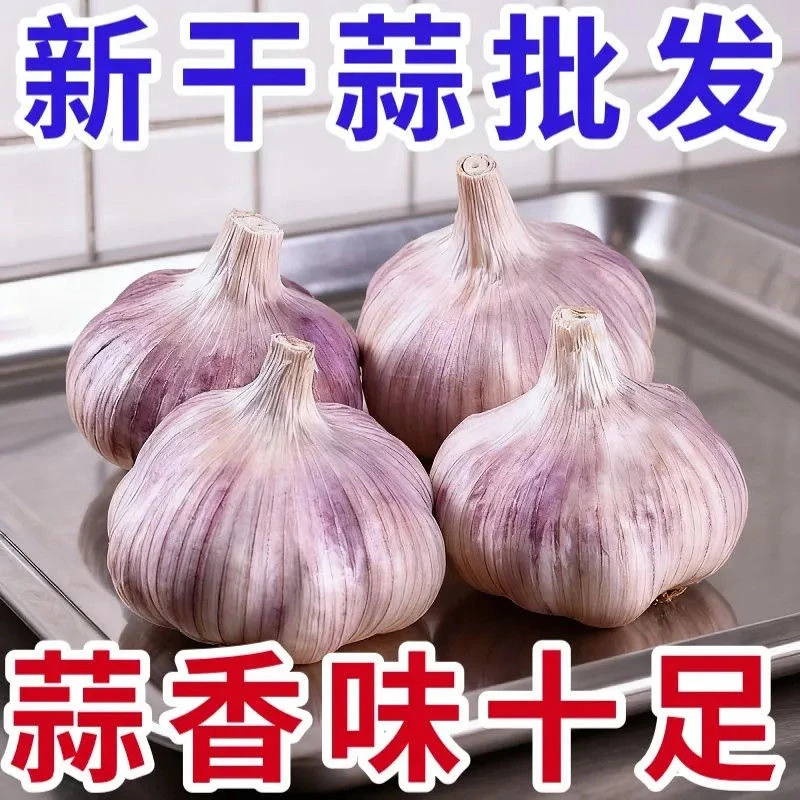 【今年新蒜降价了】新干蒜农家自种紫白皮大蒜干大蒜头厨房调味品