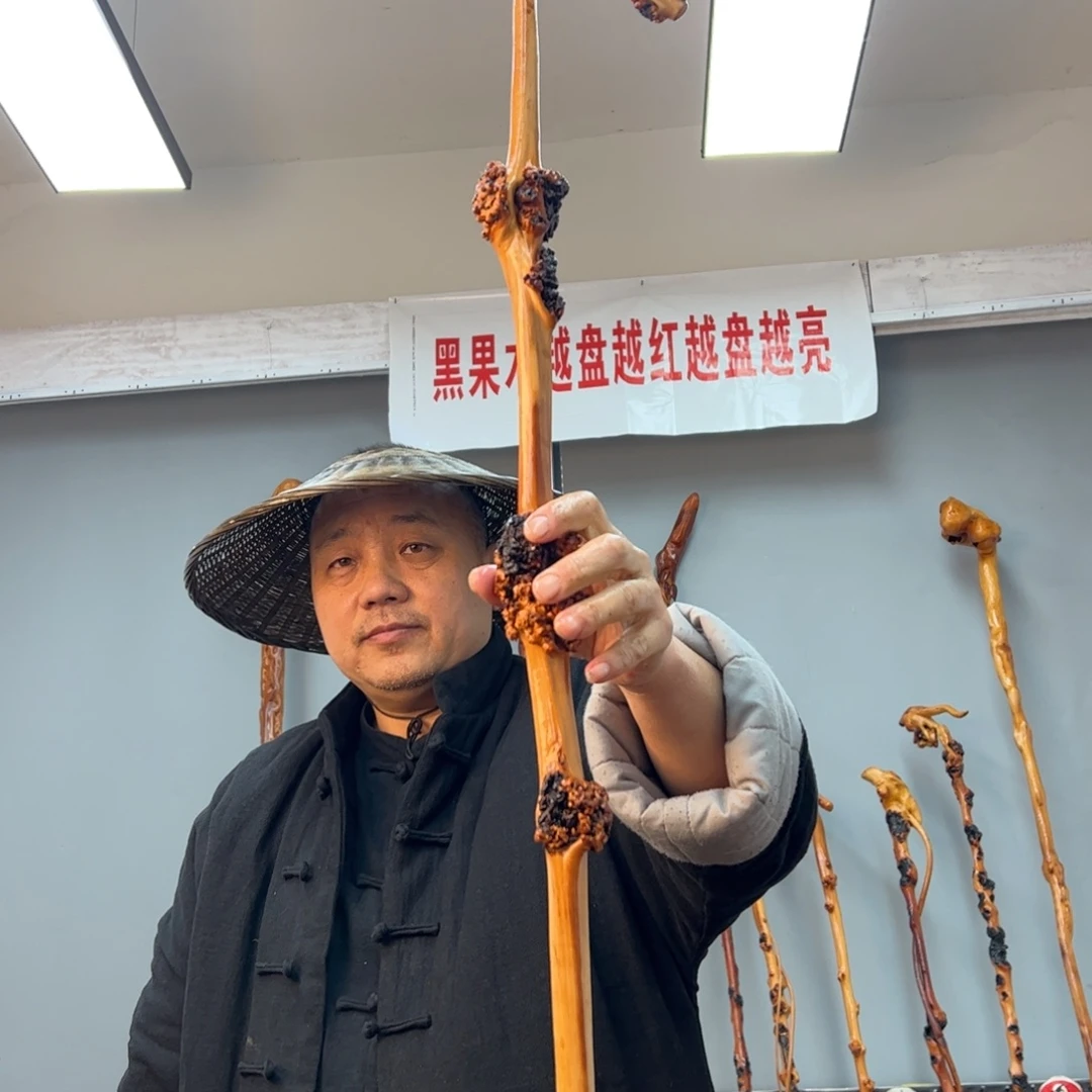 黑果木其他l****i黑果木732