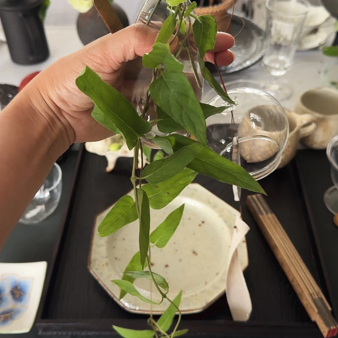 ****咪日本高端陶瓷器皿