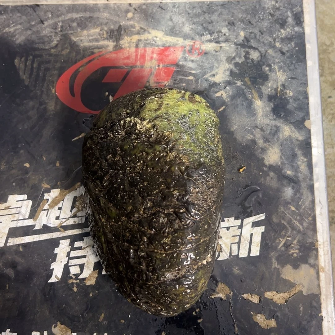 未镶嵌蛇纹石玉西藏藏玉药王石户*