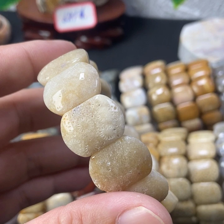 硅化珊瑚（珊瑚玉）手链未镶嵌