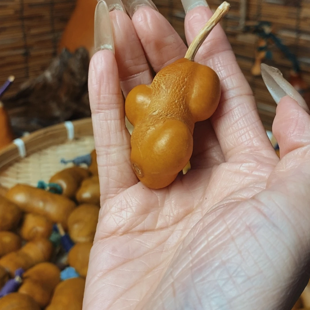 ****驴生姜土豆888888888888