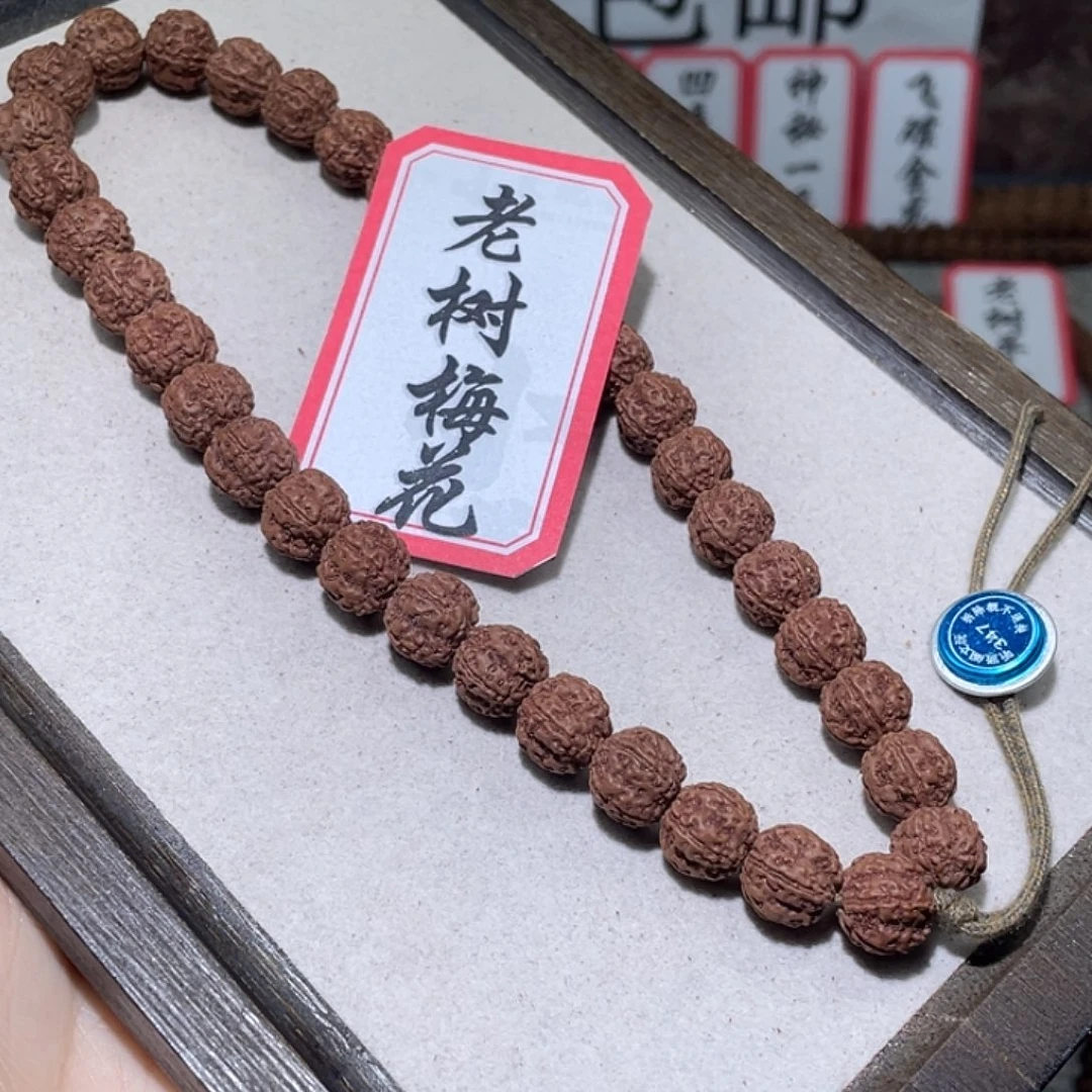 金刚菩提手串347老树梅花