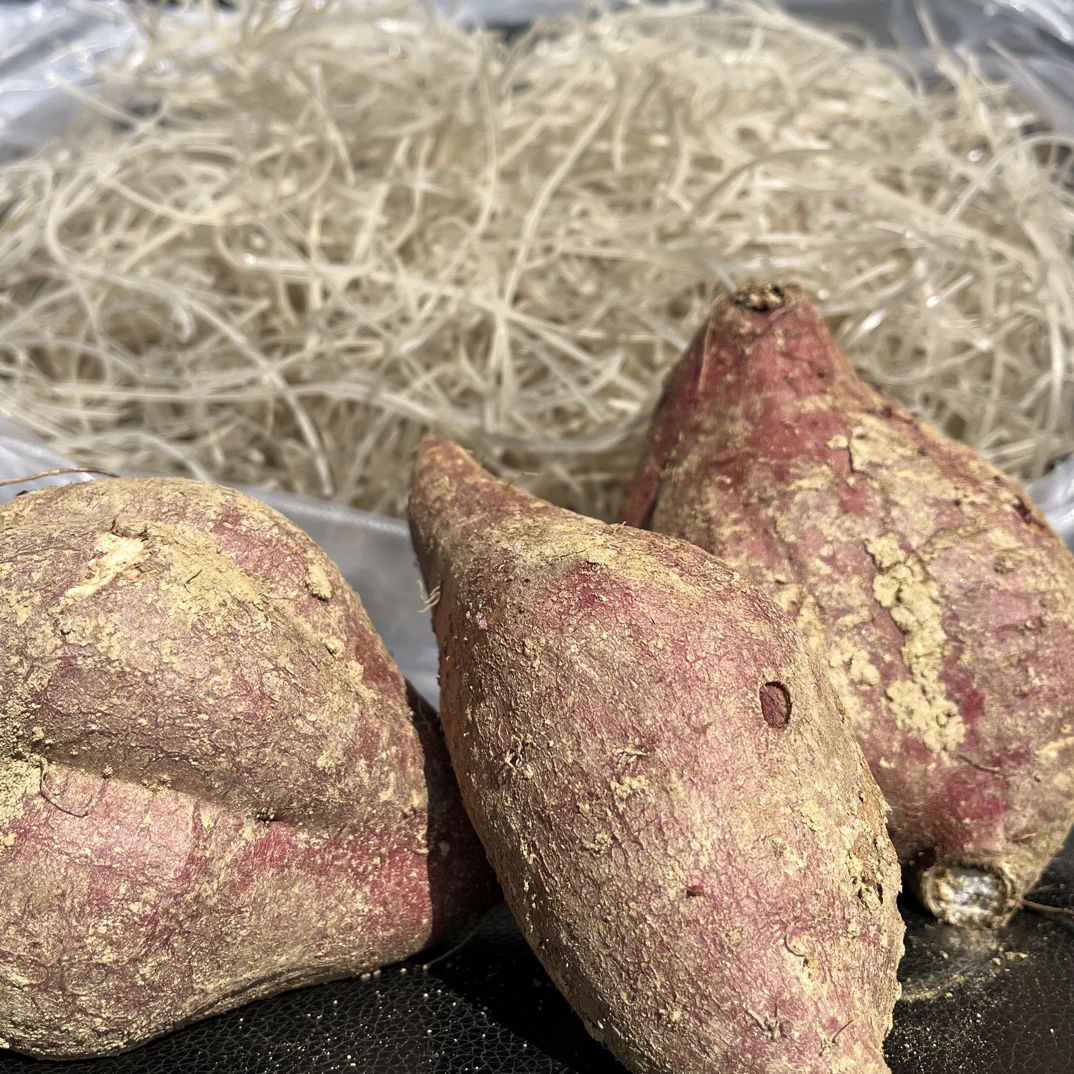 平江本地白瓤红薯2025新茴粉丝